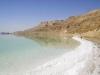 Ein Gedi's Salty Shoreline